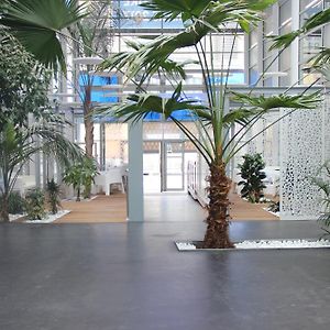 Standard Studio